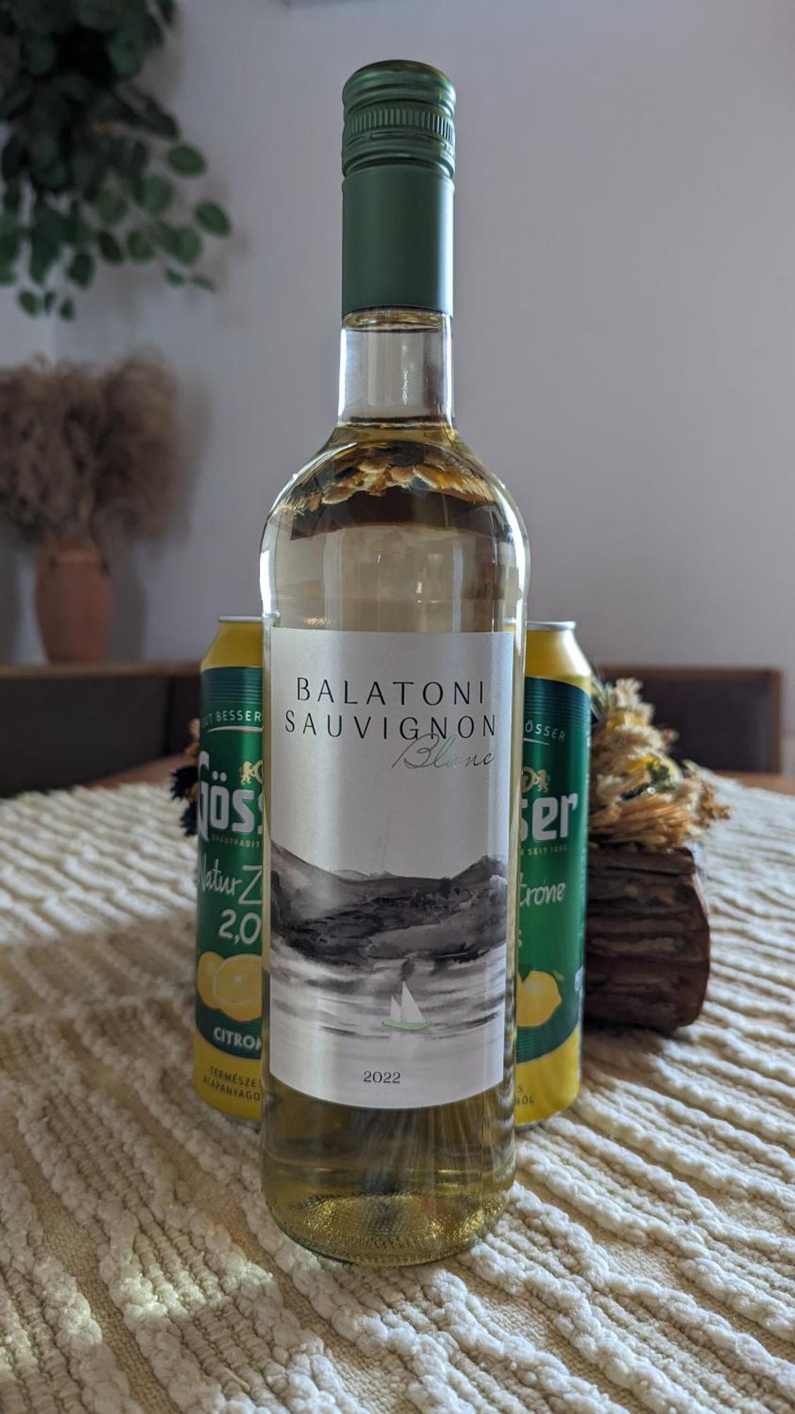 Virágos Apartman Balatonszárszó Esterno foto