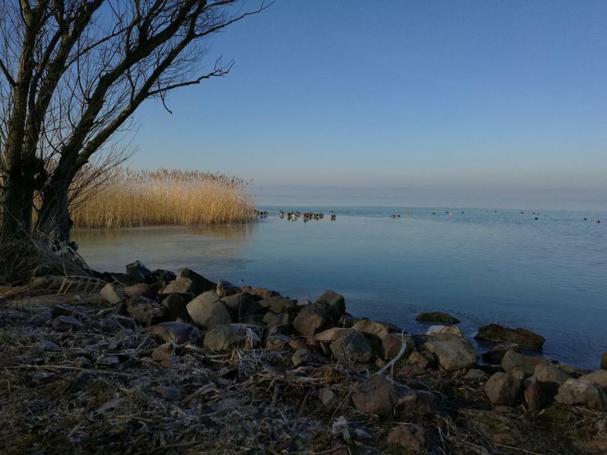 Virágos Apartman Balatonszárszó Esterno foto