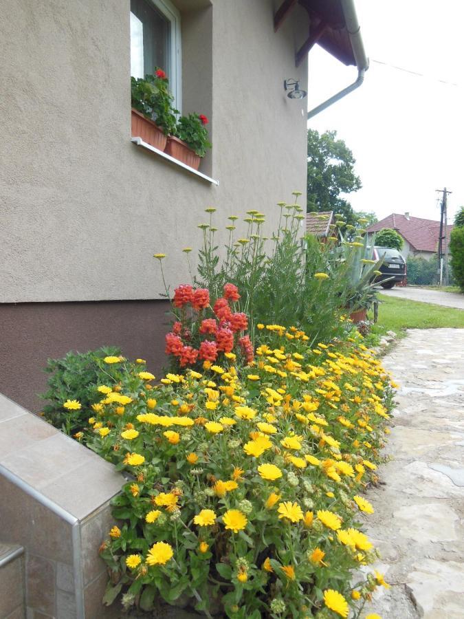 Virágos Apartman Balatonszárszó Esterno foto